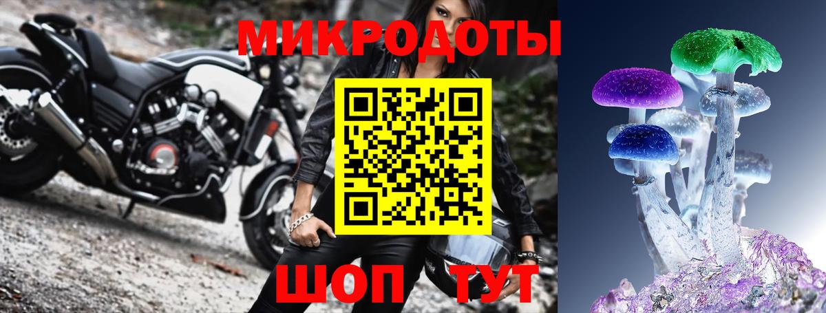 Лениногорск  Псилоцибиновые грибы Psilocybine cubensis  Вход с VPN 